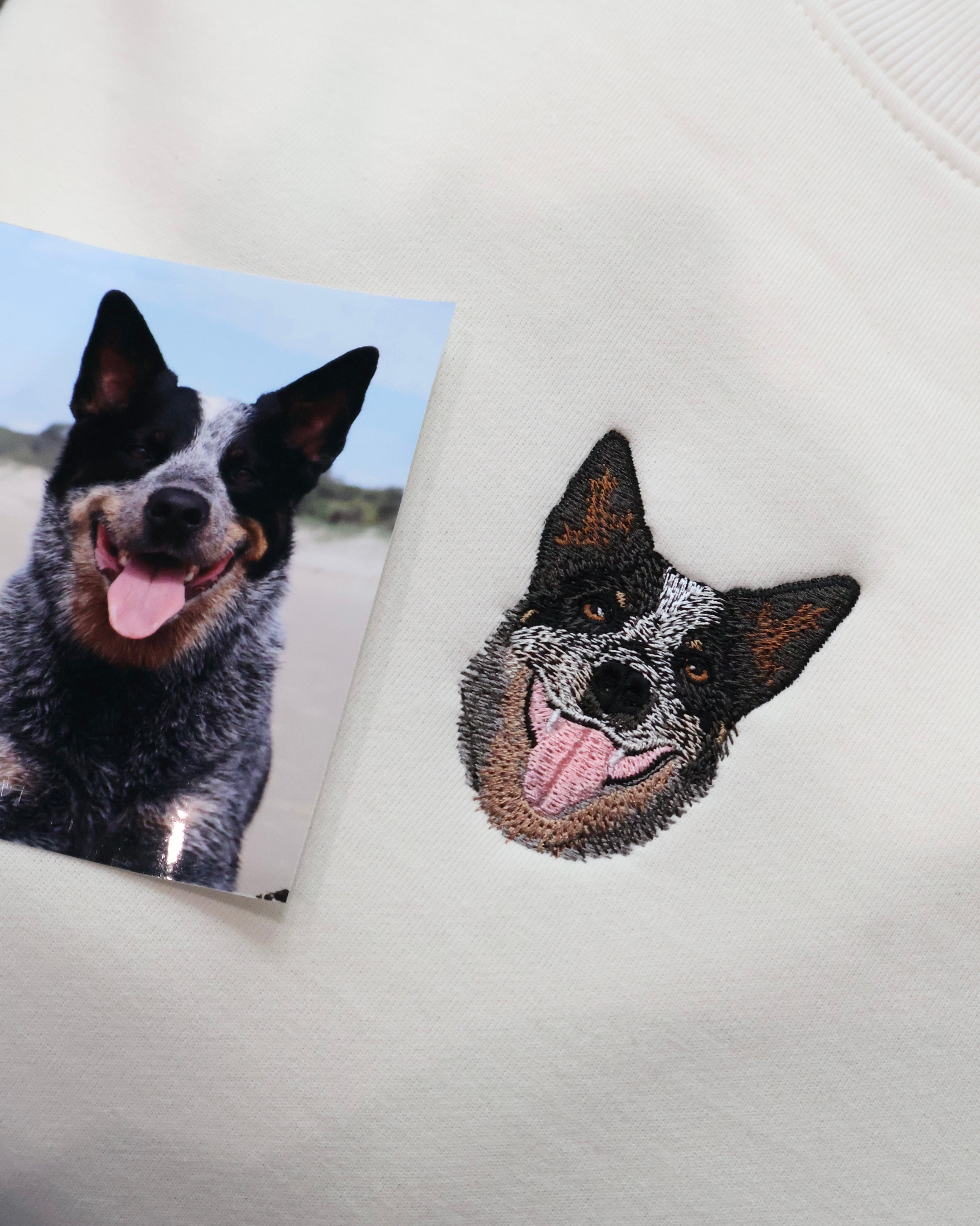 Custom Detailed Pet Jumper