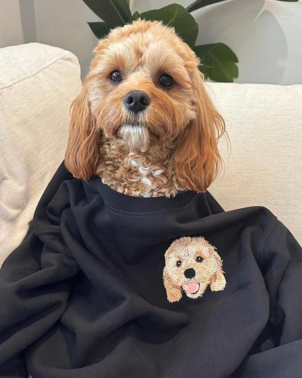 Custom Detailed Pet Jumper