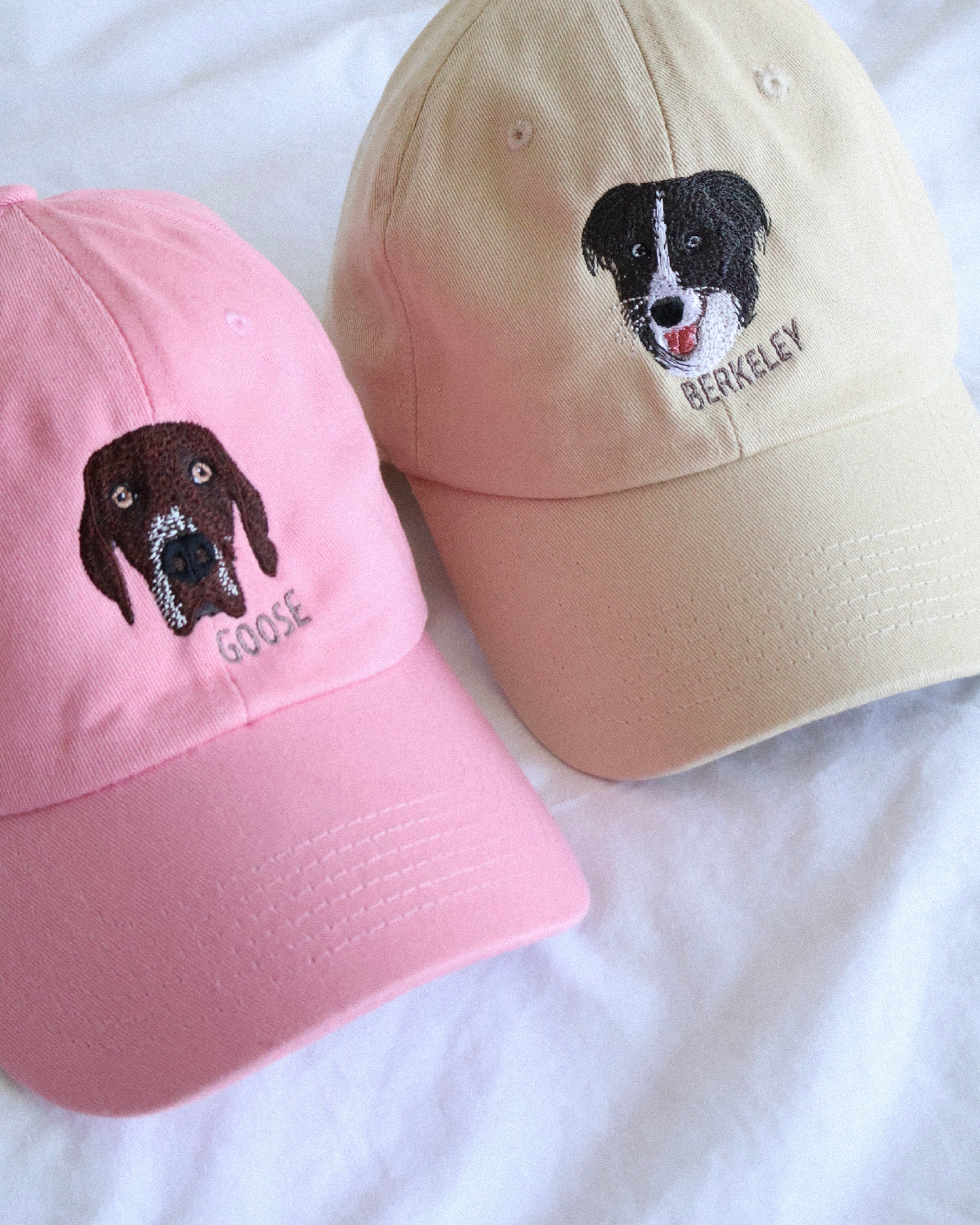 Custom Detailed Pet Hat