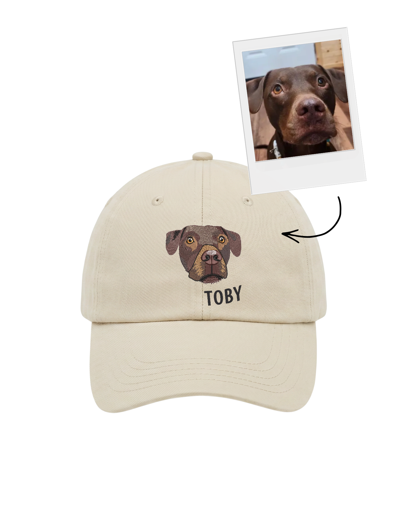 Custom Detailed Pet Hat